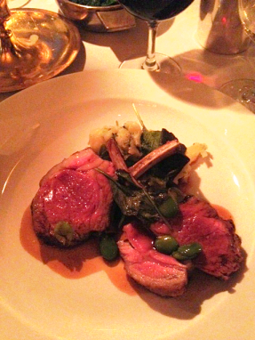 Aviary Photo_130233637872649206